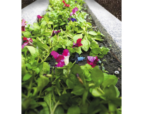 Blumenbeet mit Bewässerungssystem für Pflanzen