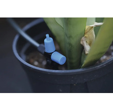 Bewässerungssystem mit Einstellhahn in einem Blumentopf