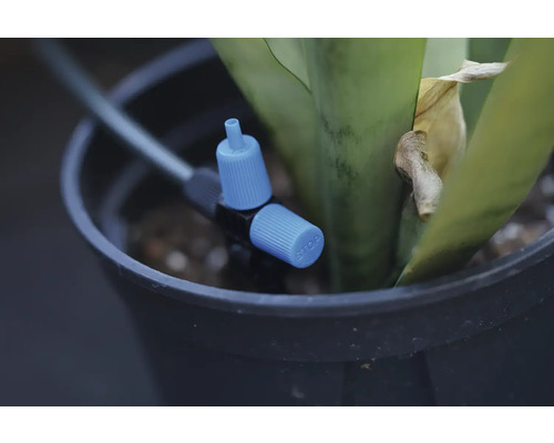 Bewässerungssystem mit Einstellhahn in einem Blumentopf