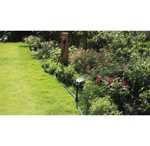 Gartenbewässerung mit Rasensprenger in einem blühenden Garten.