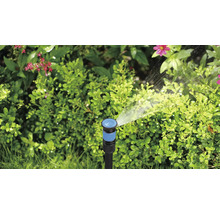 Gartensprenger beim Bewässern von Pflanzen