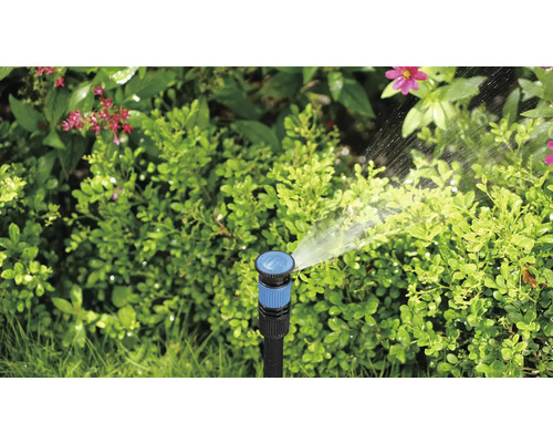 Gartensprenger beim Bewässern von Pflanzen