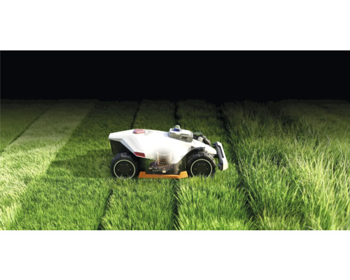 Rasenmähroboter im Einsatz auf einer Rasenfläche.