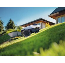 Mähroboter auf einer Rasenfläche vor einem Haus.
