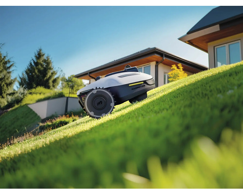 Mähroboter auf einer Rasenfläche vor einem Haus.