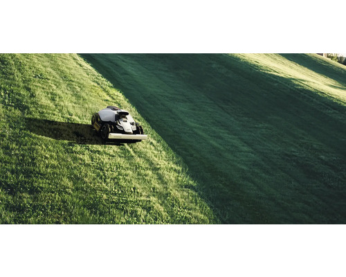 Rasenmähroboter im Einsatz auf einer Rasenfläche