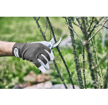Gartenarbeit mit einer Gartenschere und Gartenhandschuhen an einem dornigen Strauch.