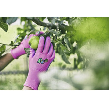 Nahaufnahme von Händen in Gartenhandschuhen, die einen Apfel pflücken