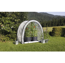 Tomatenzelt mit Tomatenpflanzen und Gießkannen im Garten