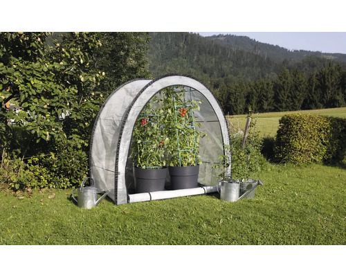 Tomatenzelt mit Tomatenpflanzen und Gießkannen im Garten