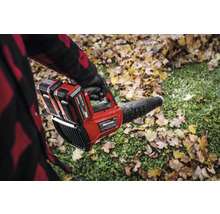 Akku-Laubbläser im Einsatz auf einer Rasenfläche mit Laub