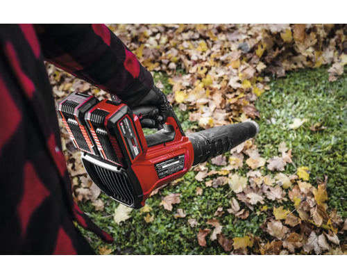 Akku-Laubbläser im Einsatz auf einer Rasenfläche mit Laub