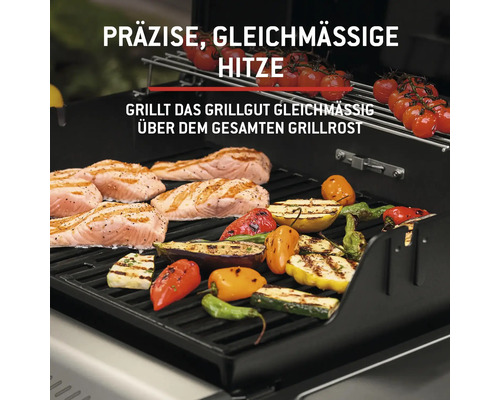 Grill mit Lachs, Paprika, Zucchini, Aubergine und Tomaten