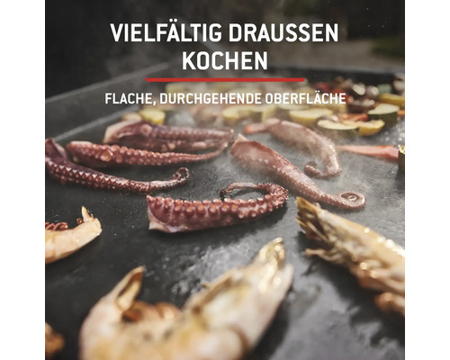 Oktopus, Garnelen und Gemüse werden auf einer Grillplatte zubereitet