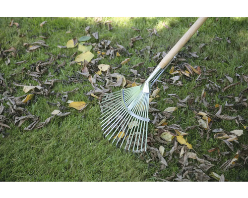 Laubbesen mit Holzstiel auf einer Wiese mit Laub