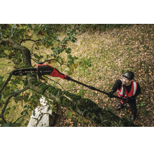 Ein Mann benutzt eine Hochentaster Säge um Äste zu schneiden.