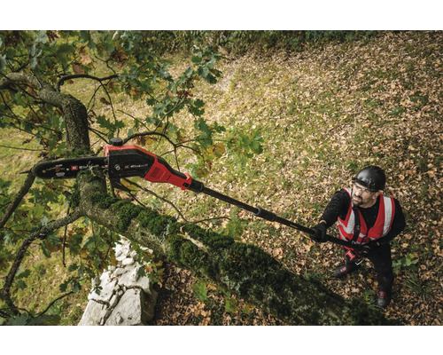 Ein Mann benutzt eine Hochentaster Säge um Äste zu schneiden.