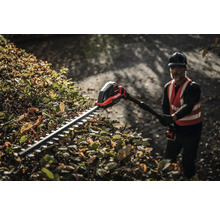 Mann schneidet Hecke mit einer Akku-Heckenschere