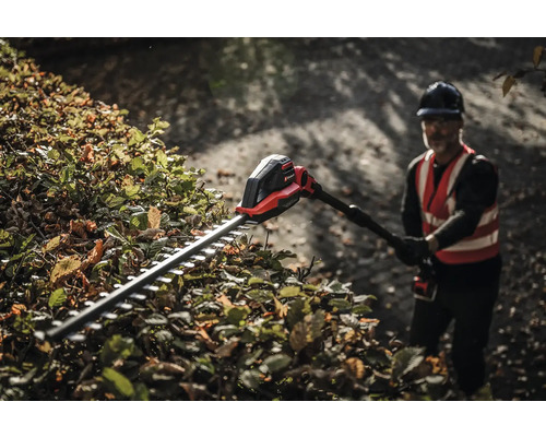 Mann schneidet Hecke mit einer Akku-Heckenschere