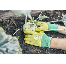 Eine Person erntet mit Gartenhandschuhen Kohlrabi aus einem Hochbeet.