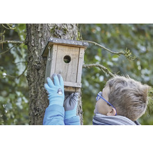 Junge montiert Nistkasten aus Holz an Baum