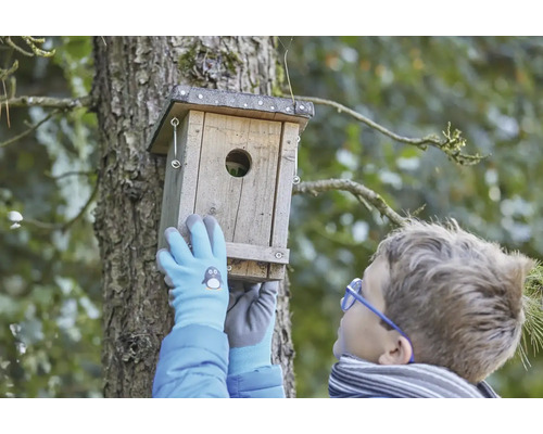 Junge montiert Nistkasten aus Holz an Baum