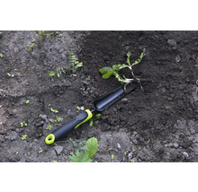 Gartenwerkzeug und Pflanze im Gartenboden