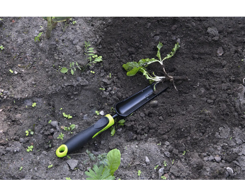 Gartenwerkzeug und Pflanze im Gartenboden