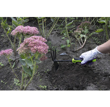 Hand mit Gartenhandschuh benutzt eine Gartenhacke zwischen Pflanzen im Gartenbeet