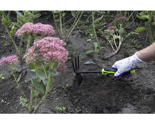 Hand mit Gartenhandschuh benutzt eine Gartenhacke zwischen Pflanzen im Gartenbeet