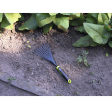 Gartenrechen auf Gartenerde mit Pflanzen