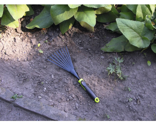 Gartenrechen auf Gartenerde mit Pflanzen