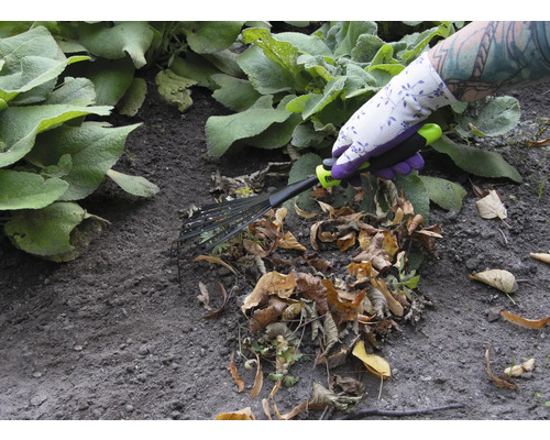 Eine Person mit Gartenhandschuhen benutzt einen Fächerbesen, um Laub zu entfernen.
