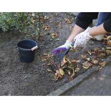Gartenarbeitsszene mit Laubrechen, Gartenhandschuhen und Eimer zum Laubsammeln
