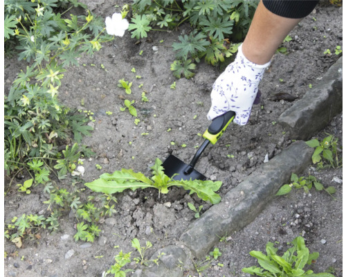 Gartenbild mit Hand, Gartenhandschuh und Unkrautstecher im Einsatz.
