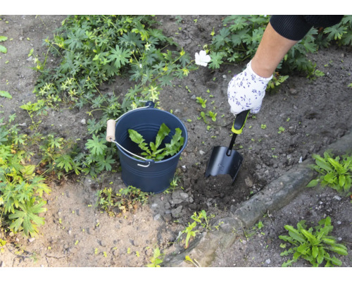 Person entfernt Unkraut mit einer Schaufel aus einem Garten, Unkraut wird in einem Eimer gesammelt