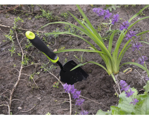 Gartenszene mit einer kleinen Gartenschaufel neben einer Pflanze mit lila Blüten.
