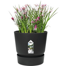 elho Blumentopf mit Pflanze und Untersetzer, integriertes Bewässerungssystem, hergestellt aus recycelten Materialien.