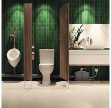 Kleinhebeanlage unter einem Waschtisch im Badezimmer mit Stand-Toilette und Urinal vor einer grün gefliesten Wand.