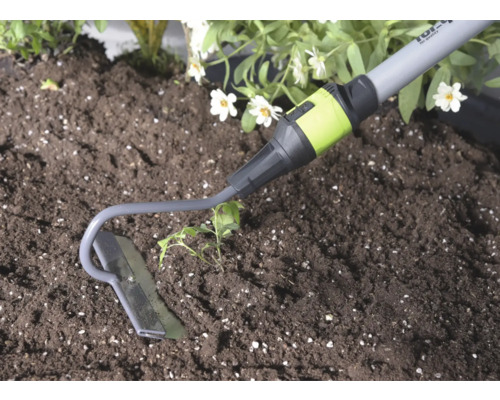 Gartenhacke aus Metall bei der Gartenarbeit in Erde neben einer Pflanze.