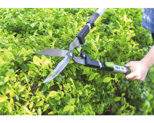 Manuelle for_q Heckenschere beim Schneiden einer grünen Hecke im Garten.