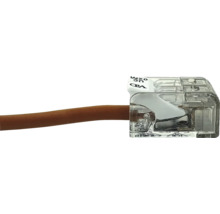 Transparente Verbindungsklemme aus Kunststoff mit einem eingesteckten braunen Elektrokabel.
