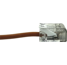 Transparente Steckklemme mit eingeführtem braunem Installationskabel.
