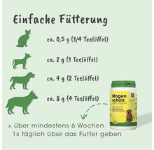 Infografik zur Fütterung von Magenschutz für Katzen und Hunde. Dosierung circa 0,5 bis 8 Gramm täglich über mindestens 6 Wochen.