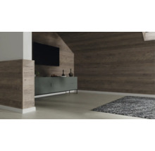 Modernes Wohnzimmer mit Wandverkleidung in Holzoptik an Wänden und Dachschrägen sowie einem Sideboard und Teppich.