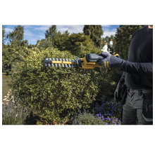 Person verwendet eine DeWalt Akku-Heckenschere zum Schneiden eines runden Busches in einem Garten.