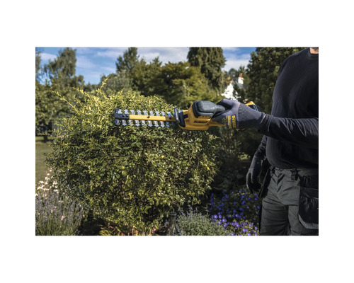 Person verwendet eine DeWalt Akku-Heckenschere zum Schneiden eines runden Busches in einem Garten.