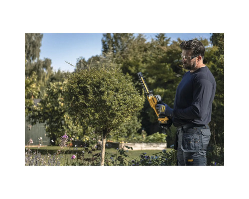 Mann schneidet mit einer DeWalt Akku-Gras- und Strauchschere einen kleinen runden Busch in einem hellen Garten.