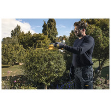 Mann schneidet einen runden Busch im Garten mit einer DeWalt Akku-Heckenschere.
