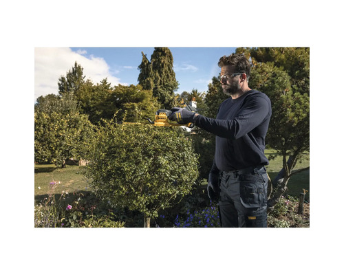 Mann schneidet einen runden Busch im Garten mit einer DeWalt Akku-Heckenschere.